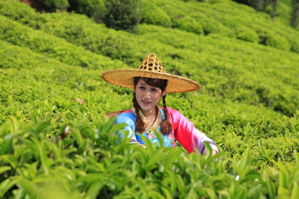 今晚足球哪个电视台直播