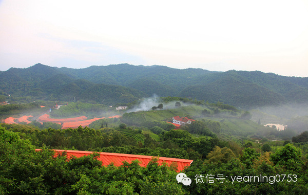 今晚足球哪个电视台直播