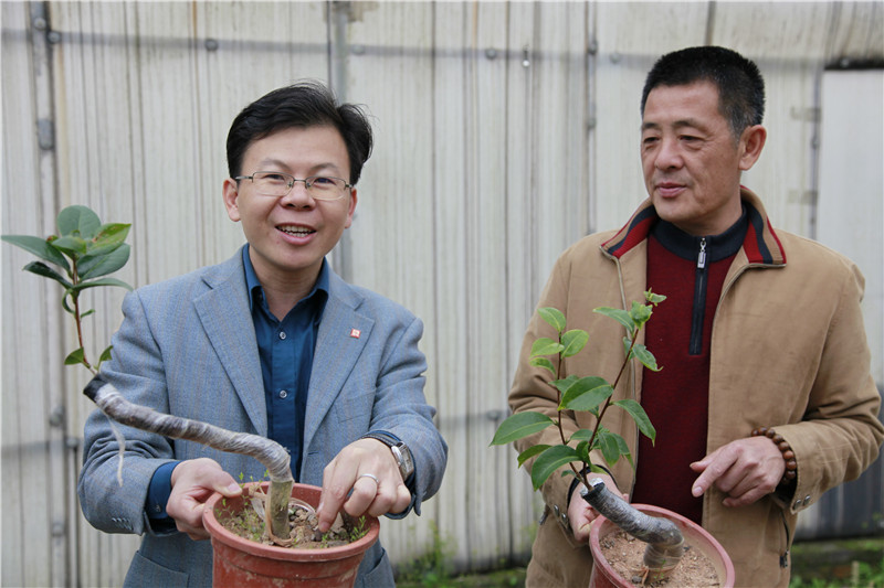 今晚足球哪个电视台直播