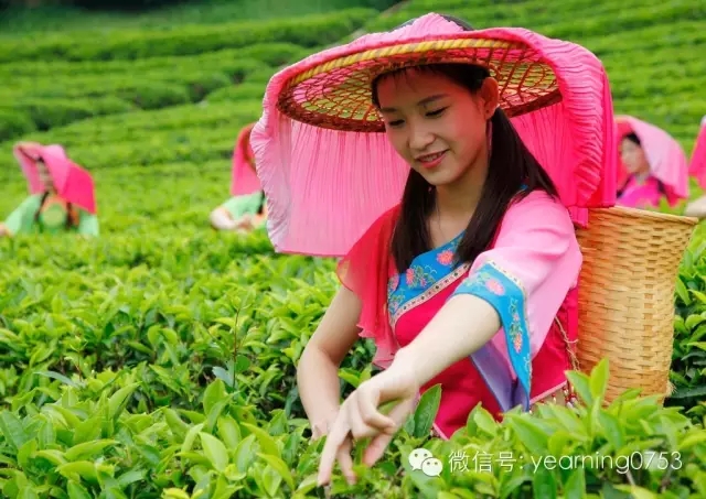 今晚足球哪个电视台直播