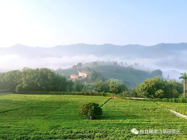 今晚足球哪个电视台直播