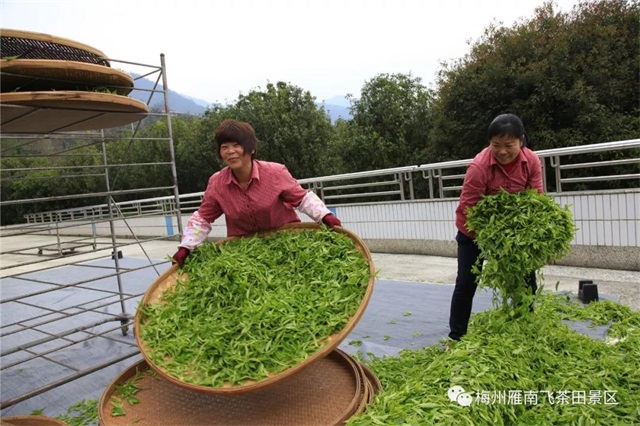 今晚足球哪个电视台直播